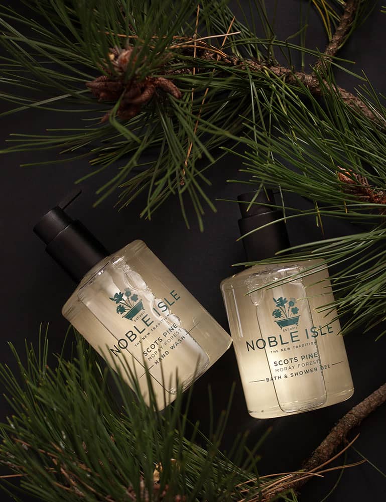 Scots Pine Collection Quartet Set