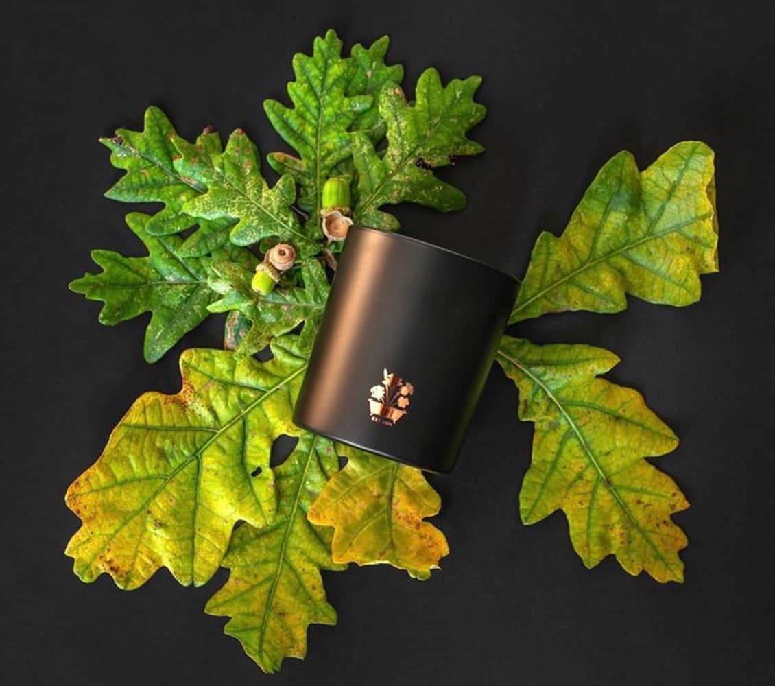 Lightning Oak, Luxury Scented Candle