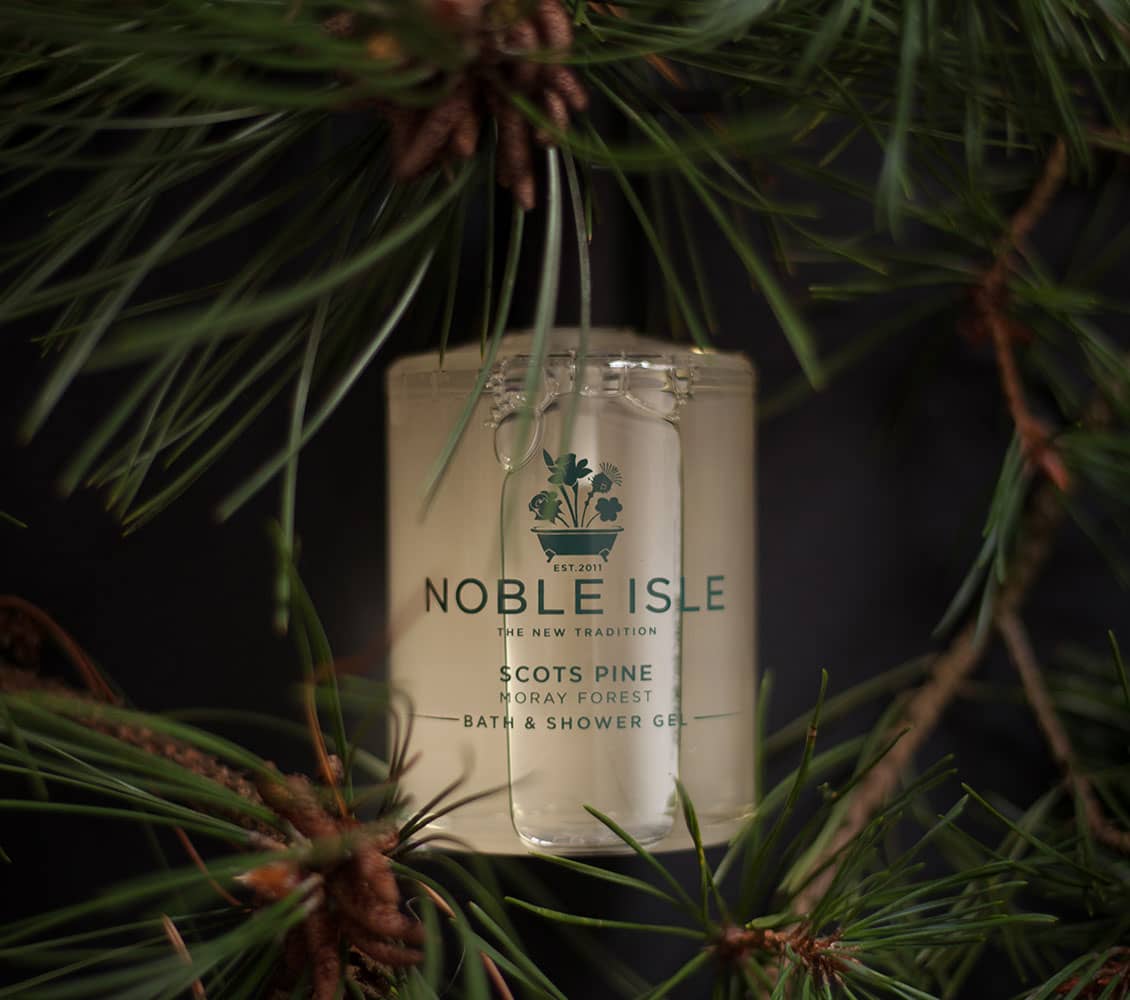 Luxury Scots Pine Shower Gel and Candle Duo