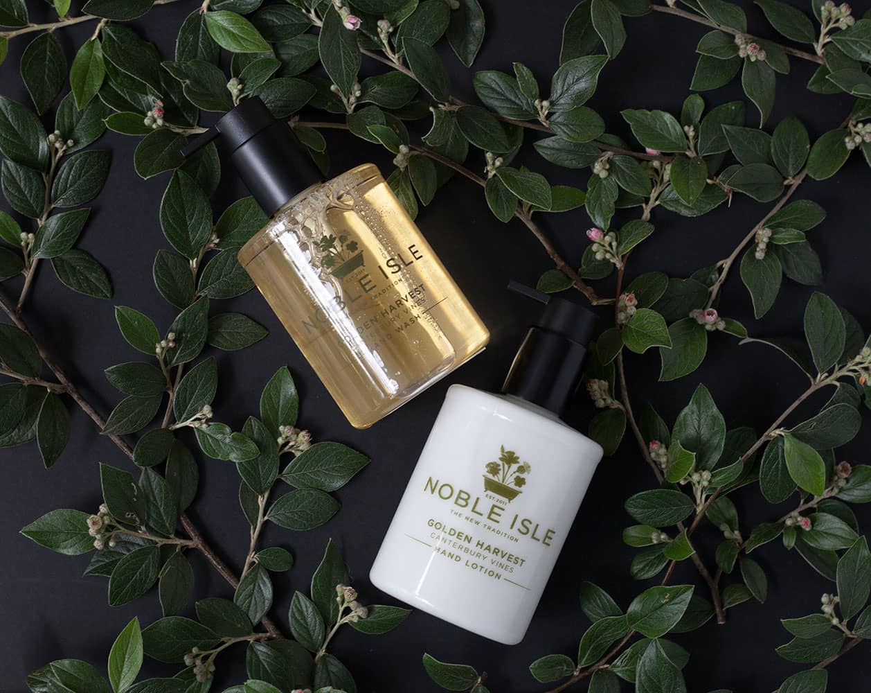 Golden Harvest Hand Care Set