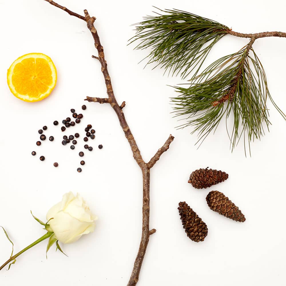 Scots Pine Luxury Shampoo