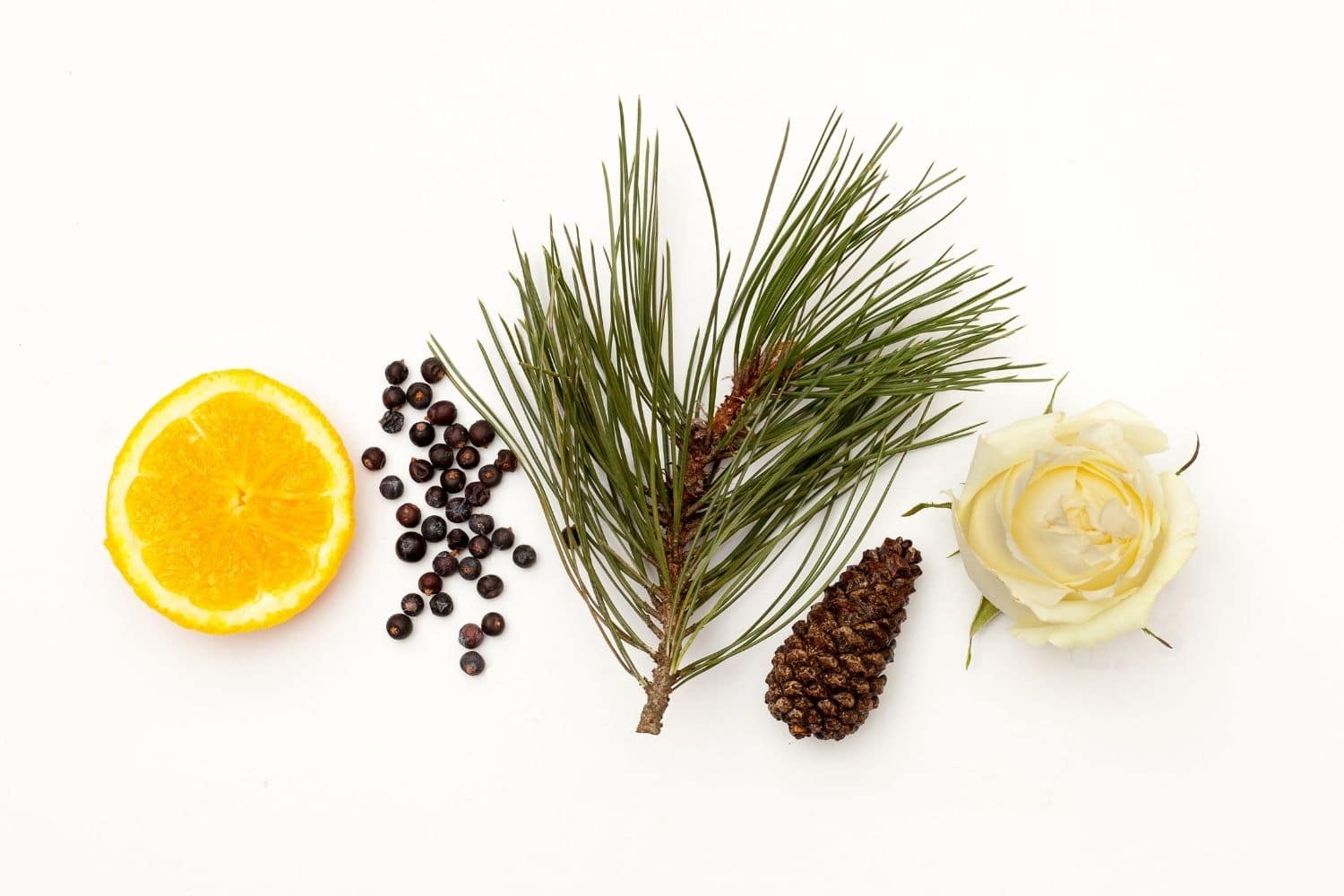 Scots Pine Luxury Conditioner