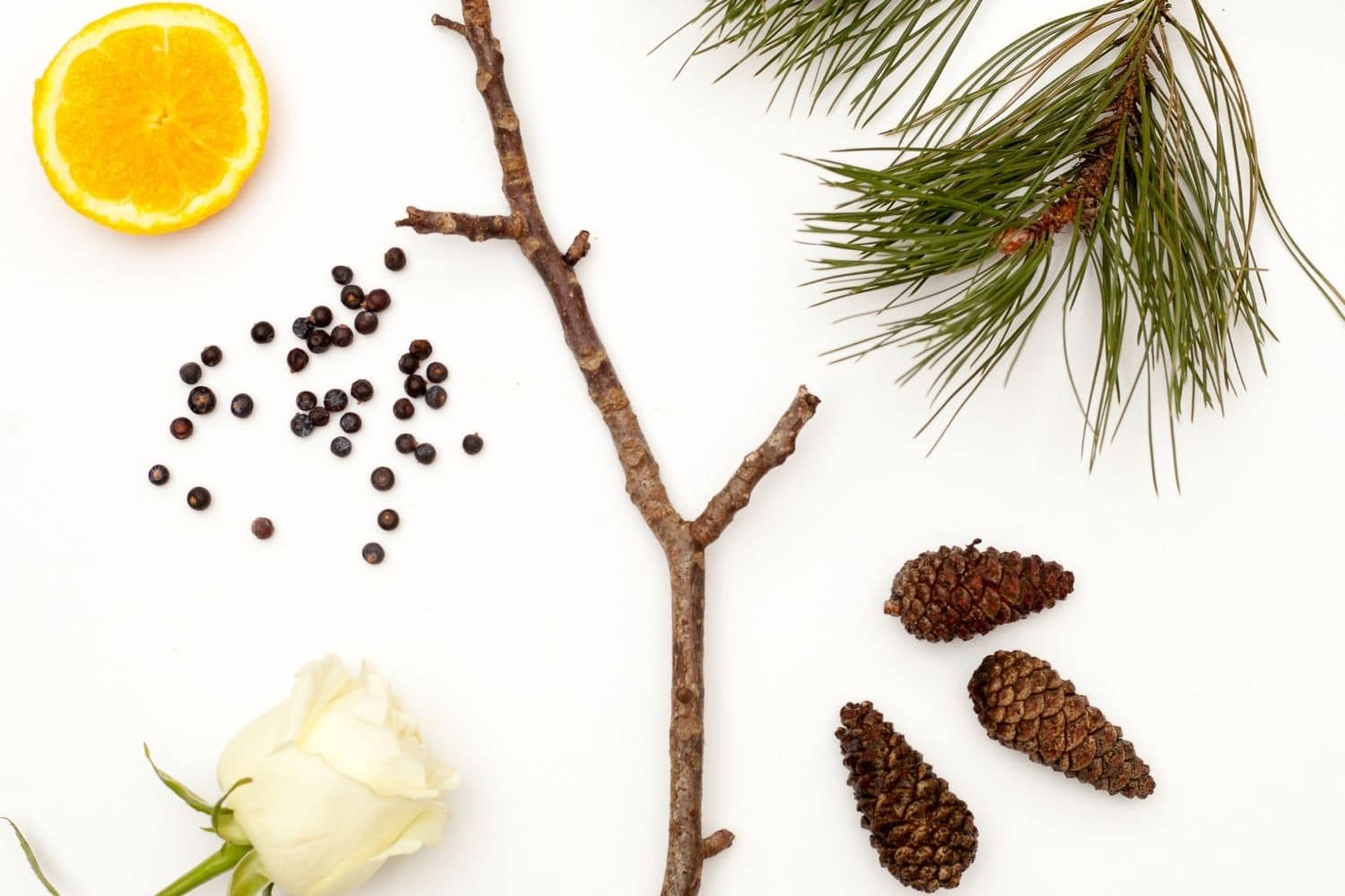 Scots Pine Luxury Hand Wash