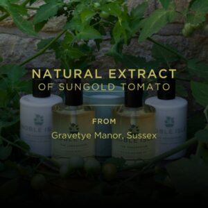 The Greenhouse Luxury Reed Diffuser