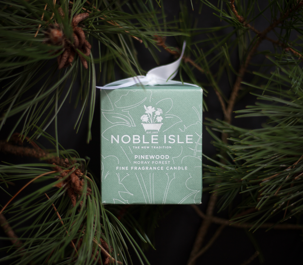 Luxury Scots Pine Shower Gel and Candle Duo