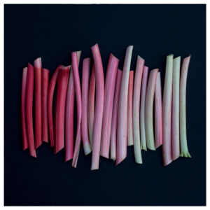 Rhubarb Rhubarb! Luxury Body Lotion