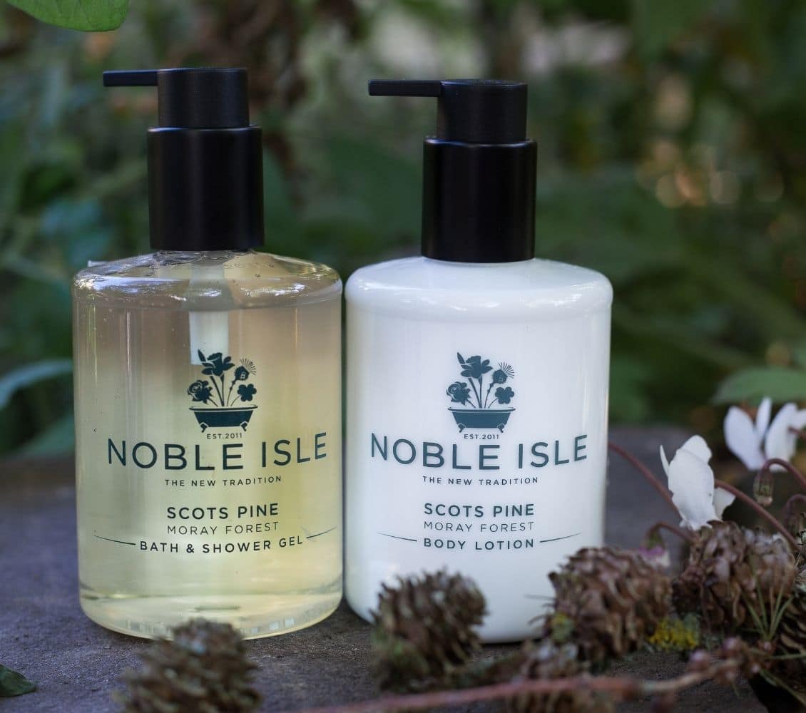 Scots Pine Collection Quartet Set